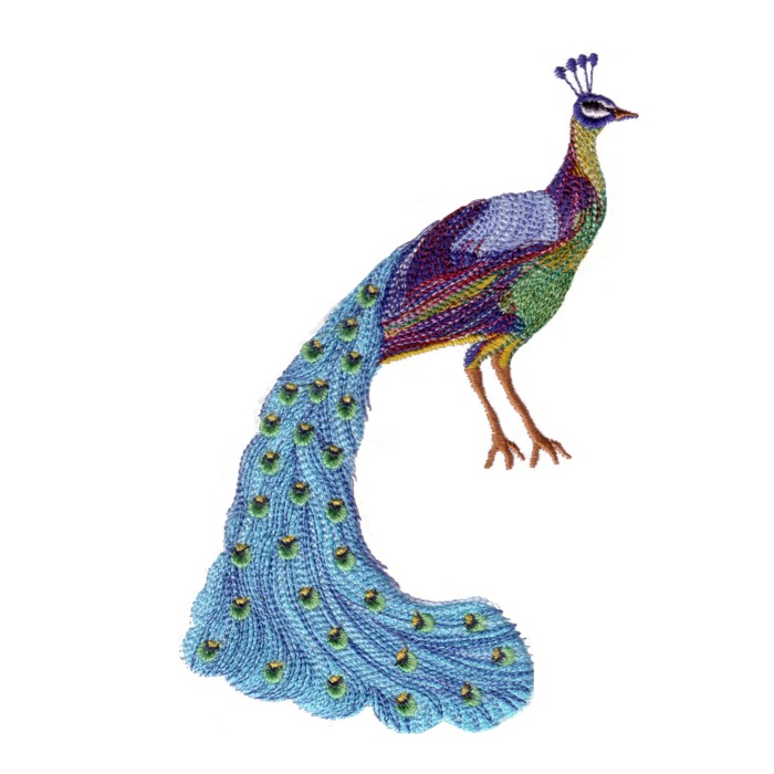 The King of birds Peacock machine embroidery design for variegated